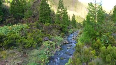 Vale das Lombadas, Portekiz 'in Sao Miguel adasındaki yeşil vadi ve nehir. Döndürme görünümü.