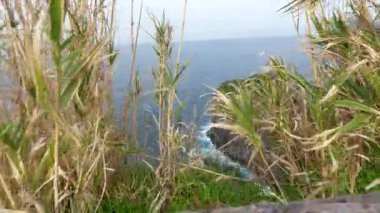 Adanın kayalıkları olan sahil şeridi Sao Miguel, Azores. Kayalar ve vahşi okyanus, yeşil çayırlar güneşli hava. Döndürme görünümü.