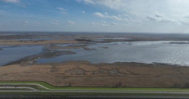 Hollanda 'nın Flevoland eyaletindeki Almere ve Lelystad arasındaki Oostvaardersplassen doğal rezervi. Hava görünümü.