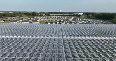 İşçi barınakları, göçmen işçileri kampı. Venlo, Hollanda