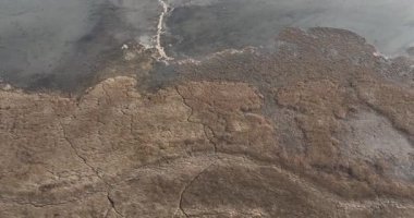 Oostvaarderplassen, Doğa rezervi Almere, Flevoland, Hollanda, tepeden aşağı insansız hava aracı görüntüsü.