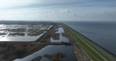 Oostvaardersplassen geniş bataklık alanı sazlıklar, engebeli otlaklar, göller, ormanlarla çevrili..