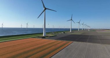 Rüzgar türbinleri, lale alanları, yenilenebilir enerji. Yeşil elektrik, sürdürülebilir enerji. Hollanda 'da. Hava görünümü.