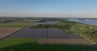 Büyük güneş panelleri alanı, güneşten gelen enerji, enerji geçişi, güneş enerjisi. Hava görüntüsü. Biddinghuizen, Flevoland, Hollanda. Hava aracı videosu.