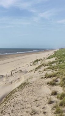 Kumullar, kuzey denizi boyunca kıyı şeridi. Kum Sahil, Hollanda. Dikey hava aracı videosu.