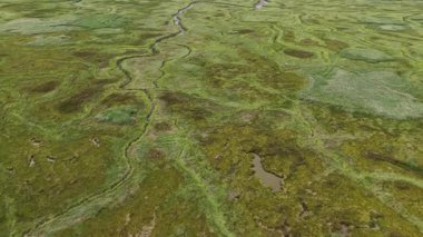 Geniş tuz bataklıkları, vadiler ve çamurlu düzlükler. Zeeland 'in ilkel manzarası. Saeftinghe 'nin Boğulmuş Toprakları, doğa rezervi. Hava videosu.