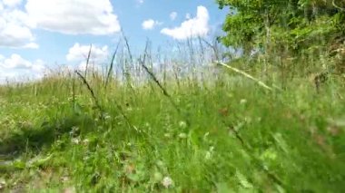 Eifel Dağları, yeşil alanlar, tarım alanları ve yeşillik. Almanya. Görünüm açılıyor.