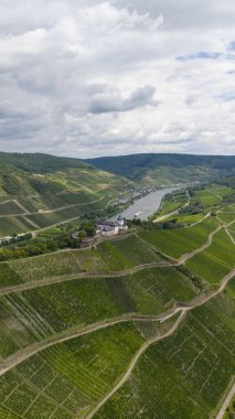 Alman Moselle nehri bölgesinde yeşil üzüm bağları. Şarap üretimi Riesling, Marienburg, kilise, Zell, Almanya. Hava fotoğrafı.