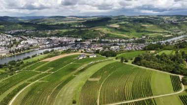 Longuich, Almanya, Moselle nehri kıyısında küçük bir şehir. Üzüm bağlarıyla dolu. Hava görünümü.