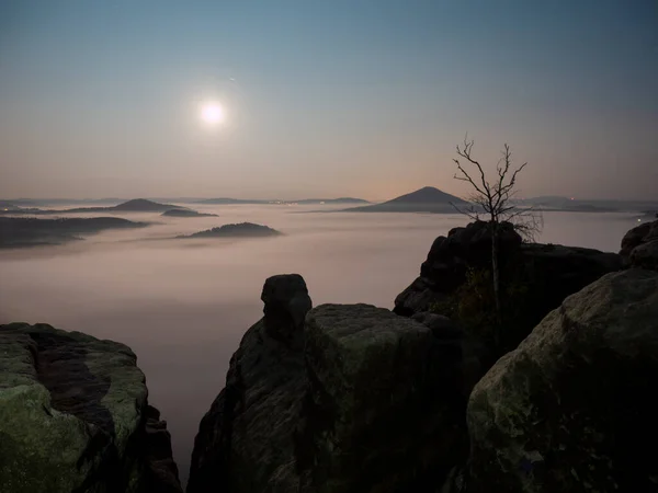 Dolunay Gün Batımı Dağda Soğuk Dolunay Işığında Puslu Sonbahar Manzarası — Stok fotoğraf