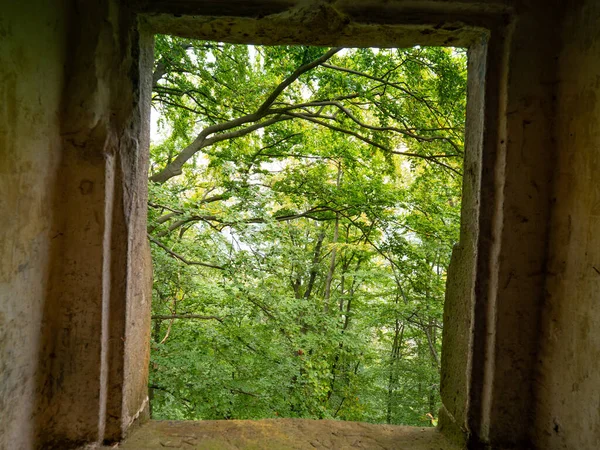 有石灰窗 废弃的石屋 窗框空旷 俯瞰着一片雾蒙蒙的森林 — 图库照片