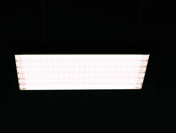 Unit of lighting panel of  modern led tube lamp.  Lights system for ceiling in office or industrial building.