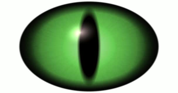 Trasformazione Dinamica Dell Occhio Verde Della Lucertola Occhio Pesce Occhio — Video Stock