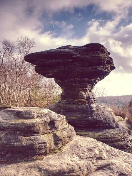 Popular Mushroom Icon Rocky Formation Tisa Rocks Czech Republic Sandstone Fotos de stock libres de derechos