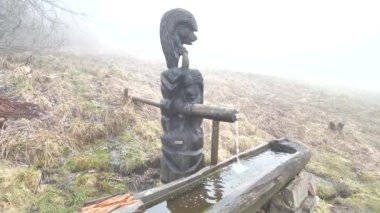 Ağaç, doğal bir pınarın üzerindeki içme suyunu kontrol eden iki gülen kirpi oymuş. Sisli bahar günü