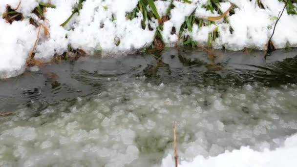 Topniejący Śnieg Kryształy Lodu Tle Strumienia Krople Spadające Poziom Wody — Wideo stockowe