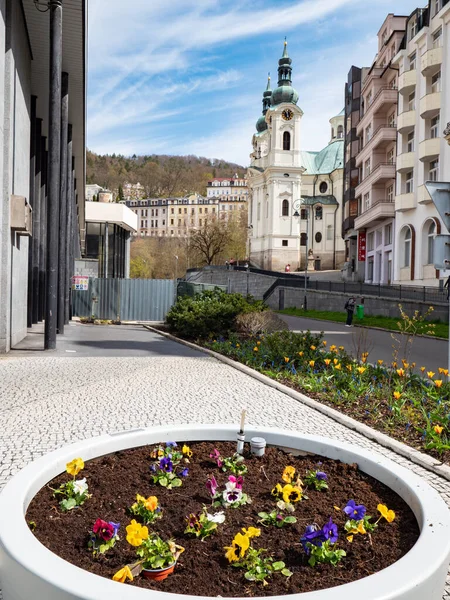 矿泉周围著名的柱廊公园里的花朵 Carlsbad Karlovy Vary Czechia — 图库照片