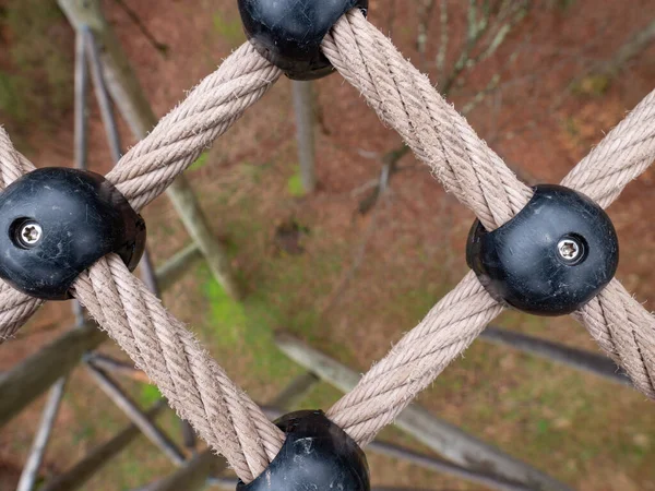在离地面20米的安全网中螺丝钢制塑料绳尖 树梢网 — 图库照片
