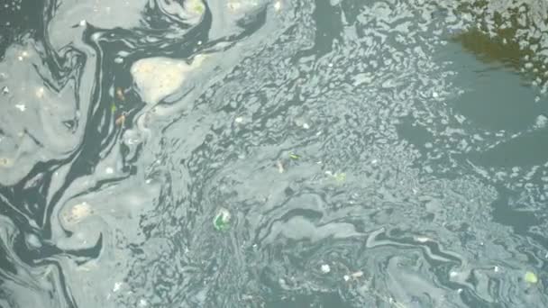 叶子和另一个混乱转向水位 用浑浊的水把脏水倒入小河中 威尔的石墙 — 图库视频影像