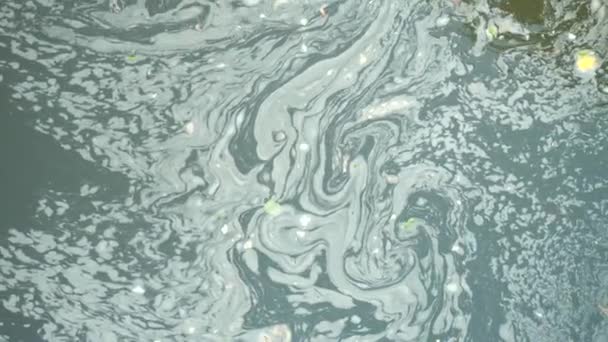 白泡沫在溪流水位上转动的含油水 在水里转动漩涡 — 图库视频影像