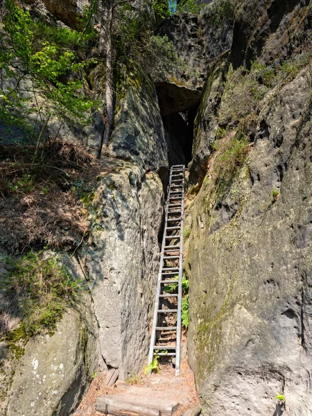 Escalera Acero Escalada Montaña Vía Ferrata Sajonia Suiza Parque Rocoso —  Fotos de Stock