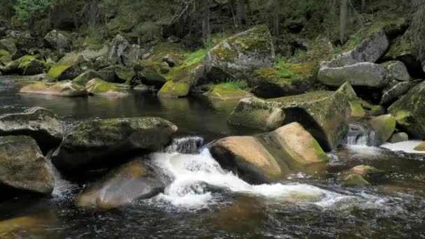 叫Otter Vydra的河苏玛瓦公园的大河把巨大的巨石推入山谷 — 图库视频影像