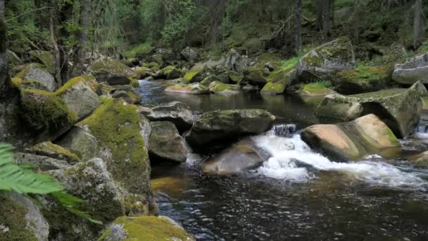 叫Otter Vydra的河苏玛瓦公园的大河把巨大的巨石推入山谷 — 图库视频影像