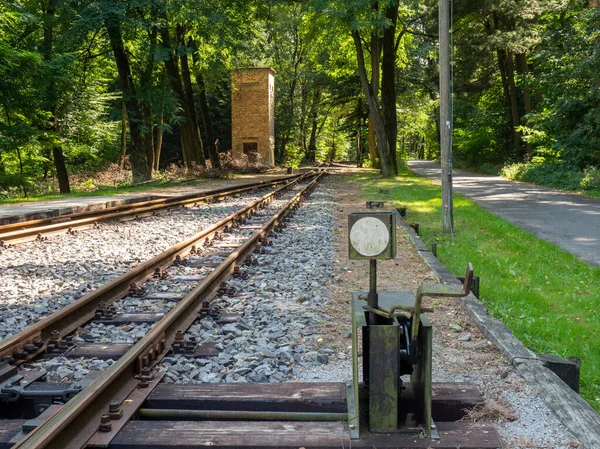 Przemysłowa Kolej Wąskotorowa Pociąg Parowy Kromlau Gablenz Niemcy — Zdjęcie stockowe