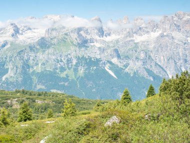 Andalo şehrinin yukarısındaki Gazza Dağı 'nın zirvesine yakın bir yaz çayırı. Yaz Dolomite Alpleri. İnanılmaz vahşi doğa. Vezzano bölgesi, Trentino, İtalya