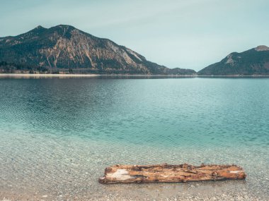 Güney Bavyera, Almanya 'da Alpler' de dağ gölü olan Idyllic yaz manzarası