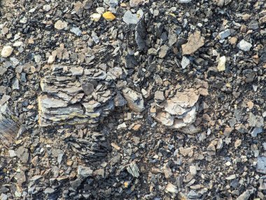 Açık kahverengi maden ocağında kuyruklar ve atık kayalar. Ağır erozyon ve kömürle karışık kum tepecikleri..