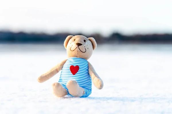 Toy Teddy Bear Sitting White Snow Background Forest Winter Blurred — Stock Photo, Image