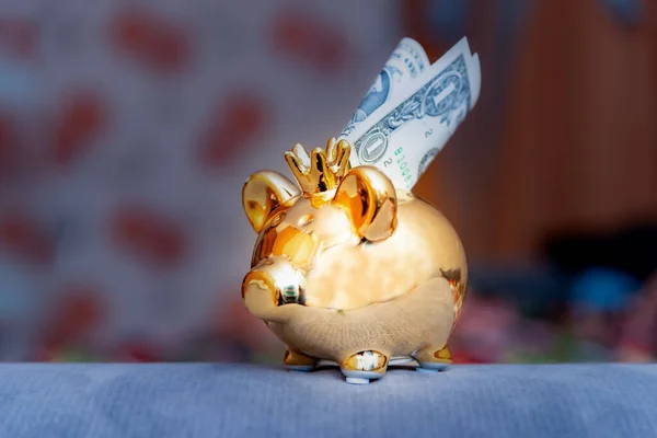 Golden Piggy Banco Com Coroa Ouro Dólares Dos Eua Sobre — Fotografia de Stock