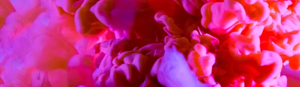 Bannière Explosion Couleur Nuage Fluide Encre Acrylique Multicolore Dans Eau — Photo