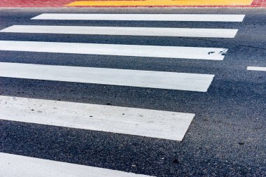 Zebra açık yoldan geçiyor. İnsanlar caddeden karşıya geçerken güvenlik için yaya geçidinden geçiyor. Açık havada vurularak..