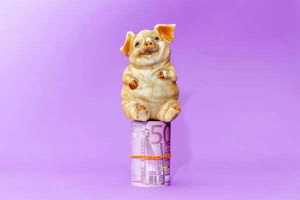 A toy fat piggy sitting on rolled roll five hundred euro money.Purple background.