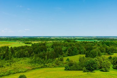 Ağaçlı yaz manzarası, orman bulutlu yaz gökyüzü. Sıcak, güzel bir yaz günü. Yaz arkaplanı.