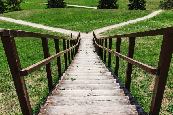 Wooden Stairs Gangway Field Trees Path Selection Which Way Turn — Stock Photo, Image