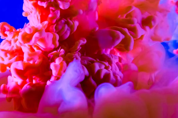 Kolor Wybuchu Kropla Płynu Farba Wodna Zbliżenie Pomarańczowy Różowy Tusz — Zdjęcie stockowe