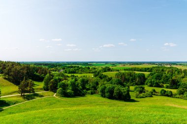 Ağaçlı yaz manzarası, orman bulutlu yaz gökyüzü. Sıcak, güzel bir yaz günü. Yaz arkaplanı.