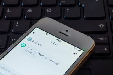 Bana yardım et. Ekranda ChatGPT web sitesi olan dizüstü bilgisayarda akıllı telefon var. OpenAI.Telsiai.Litvanya.04-27-2023.