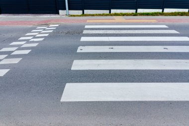Zebra açık yoldan geçiyor. İnsanlar caddeden karşıya geçerken güvenlik için yaya geçidinden geçiyor. Açık havada vurularak..