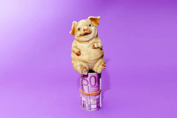 A toy fat piggy sitting on rolled roll five hundred euro money.Purple background.