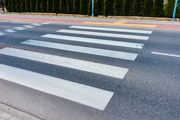 Zebra Açık Yoldan Geçiyor Nsanlar Caddeden Karşıya Geçerken Güvenlik Için — Stok fotoğraf