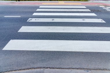 Zebra açık yoldan geçiyor. İnsanlar caddeden karşıya geçerken güvenlik için yaya geçidinden geçiyor. Açık havada vurularak..