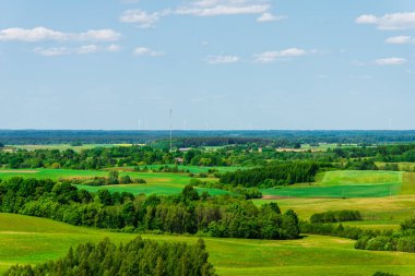Ağaçlı yaz manzarası, orman bulutlu yaz gökyüzü. Sıcak, güzel bir yaz günü. Yaz arkaplanı.