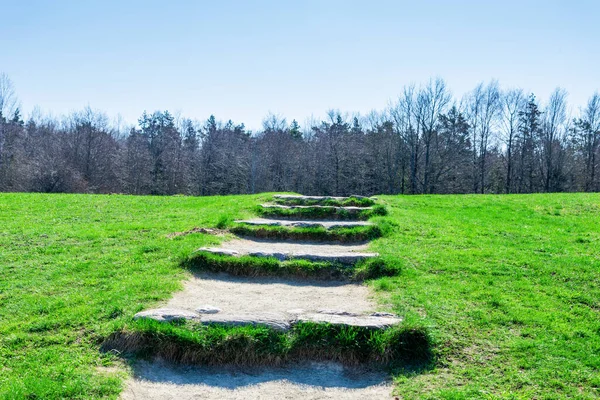 Stone Staircase Rises Forest Blue Sky Concept Career Growth Road — Stock Photo, Image