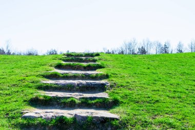 Ormanda bir taş merdiven yükselir, mavi gökyüzü. Kariyer gelişimi kavramı ya da cennete giden yol. Yüksek bir tepeye çıkan adımlar gökyüzüne çıkar..