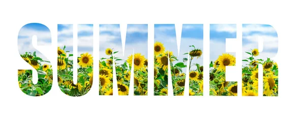 这个夏天的题词是从一张照片上剪下来的 照片上有向日葵 白色孤立的背景上的白云 — 图库照片