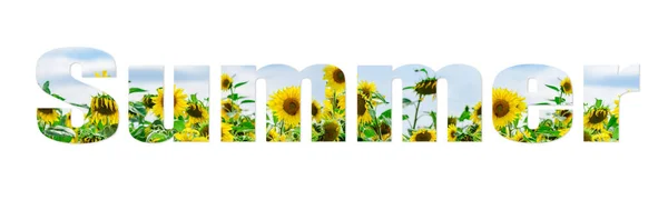 Inscription Summer Cut Out Photo Sunflowers Blue Sky White Clouds — Stock Photo, Image
